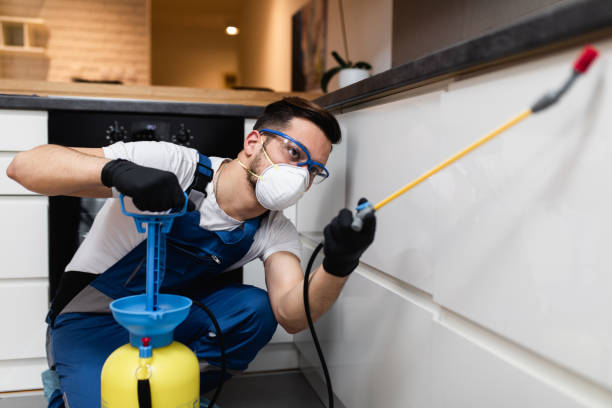 Best Termite Control Services  in Coos Bay, OR