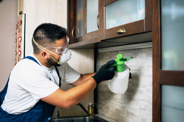 Best Best Pest Control Near Me  in Coos Bay, OR