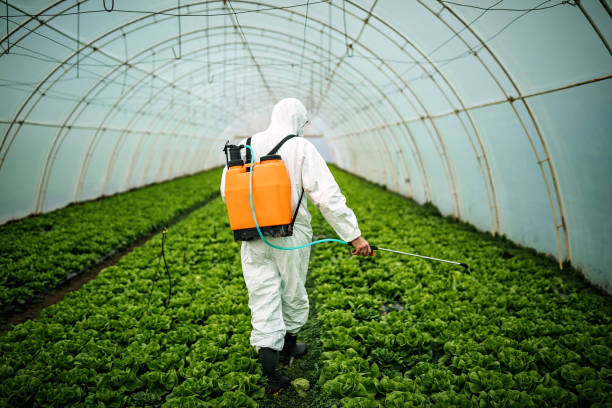Best Insect Control  in Coos Bay, OR