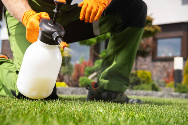 Best Exterminator Services  in Coos Bay, OR