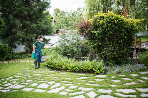 Best Affordable Pest Control Services  in Coos Bay, OR