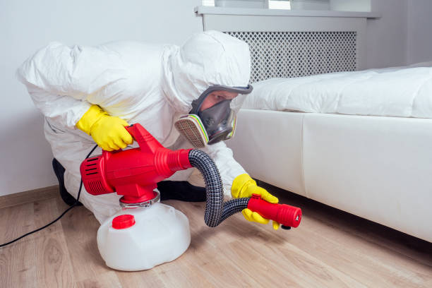 Best Local Pest Control Services  in Coos Bay, OR
