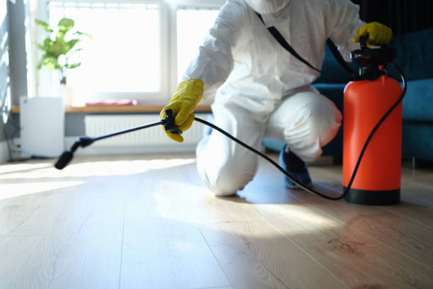 Insect Control in Coos Bay, OR