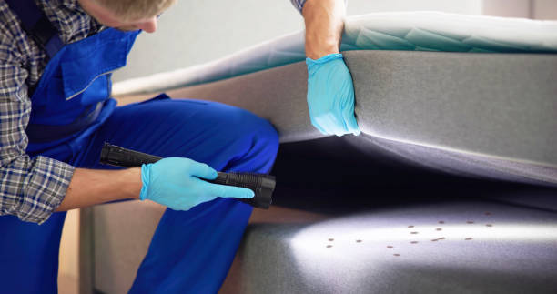 Trusted Coos Bay, OR Pest Control Experts