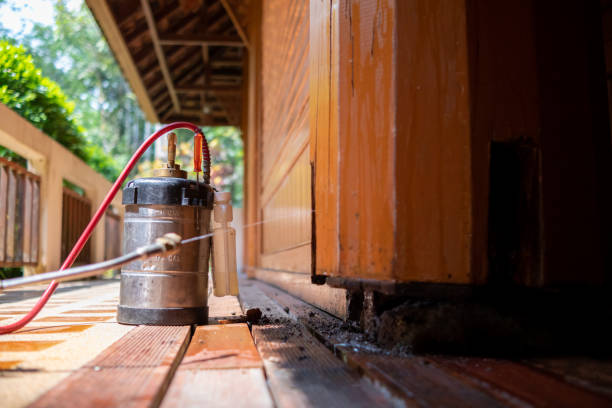 Best Pest Removal Services  in Coos Bay, OR