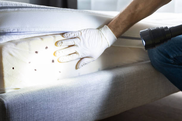 Best Pest Prevention Services  in Coos Bay, OR