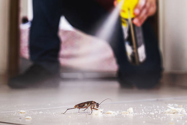 Professional Pest Control in Coos Bay, OR