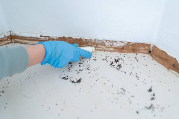 Pest Control for Restaurants in Coos Bay, OR